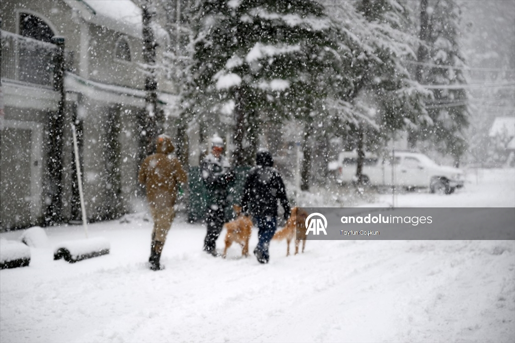 California'da kar yağışı etkili oldu