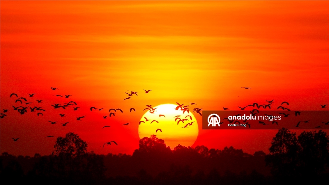 Kamboçya-Tayland ateşkes görüşmeleri sürerken Banteay Meanchey’de gün batımı görüntülendi 