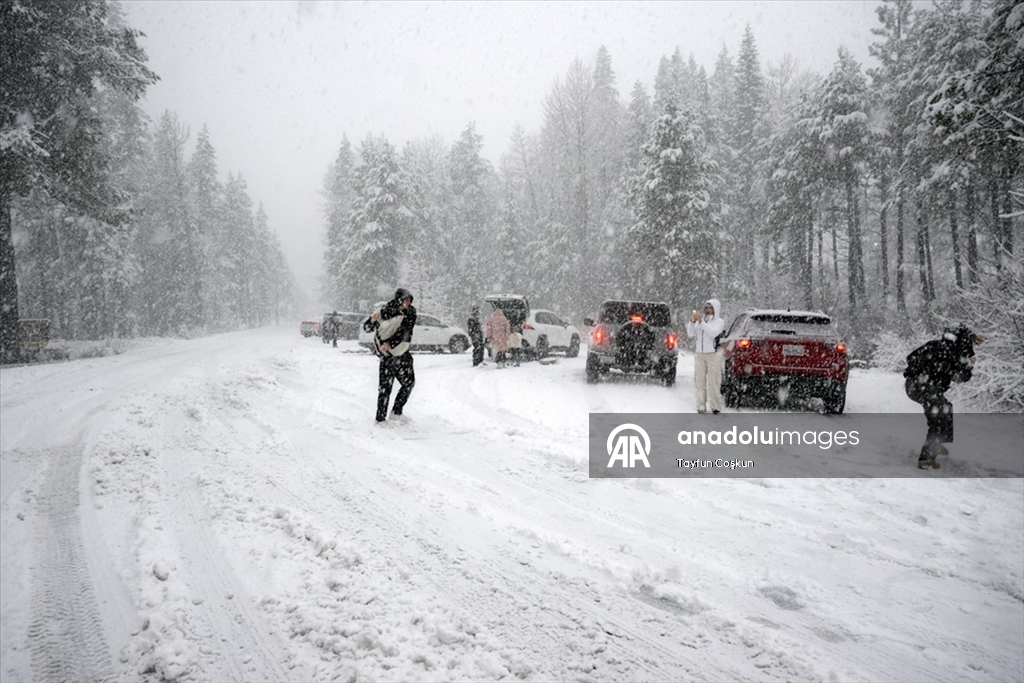 California'da kar yağışı etkili oldu