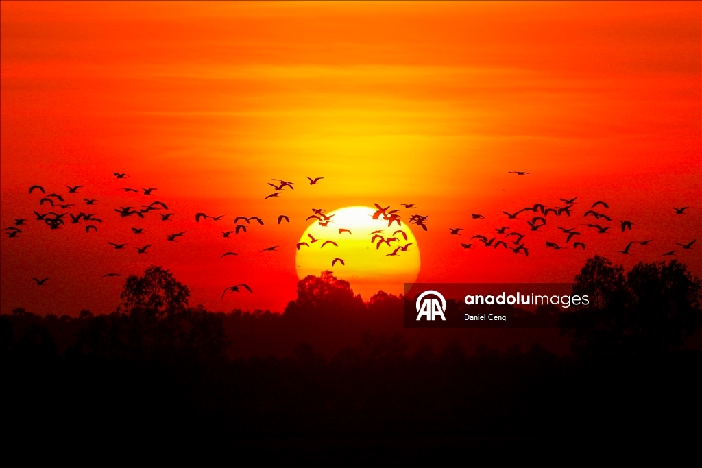 Kamboçya-Tayland ateşkes görüşmeleri sürerken Banteay Meanchey’de gün batımı görüntülendi 