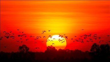 Kamboçya-Tayland ateşkes görüşmeleri sürerken Banteay Meanchey’de gün batımı görüntülendi