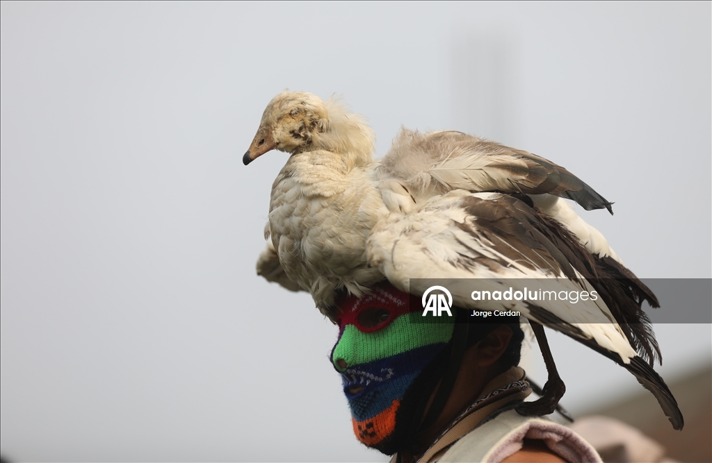 В Перу прошел фестиваль по боям без правил Таканакуй