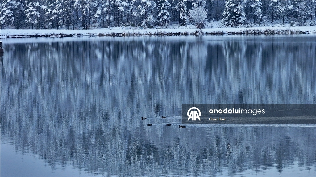 Плато Топук покрылось белым снежным покровом