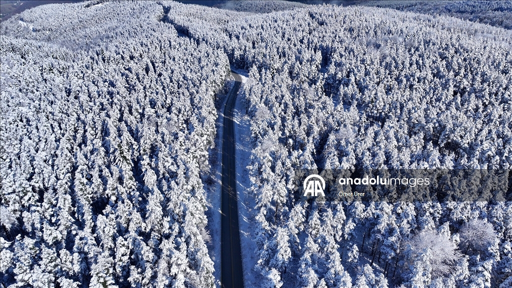 Плато Топук покрылось белым снежным покровом