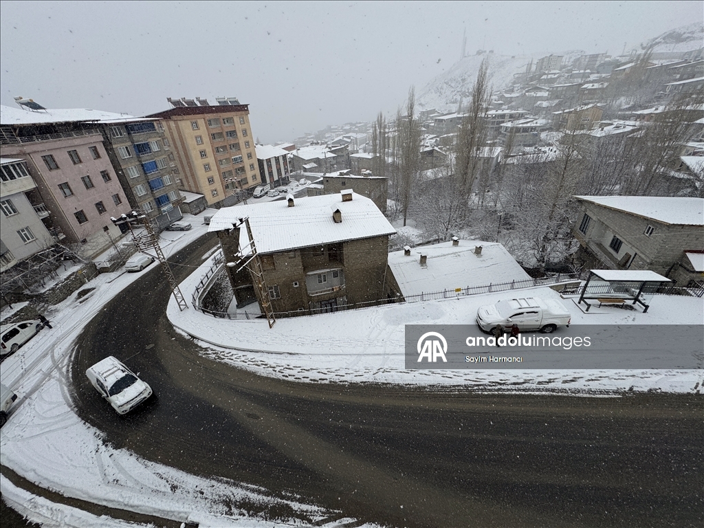 Hakkari'de kar etkili oldu
