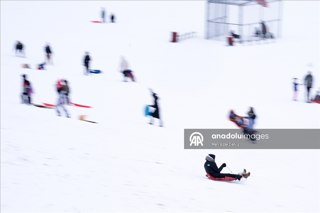 Жители Торонто заполнили городские парки после сильного снегопада