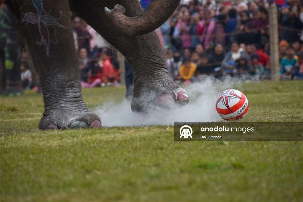 В Непале проводится «Конкурс красоты слонов»