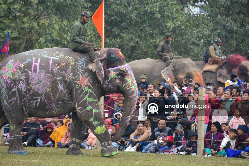 В Непале проводится «Конкурс красоты слонов»