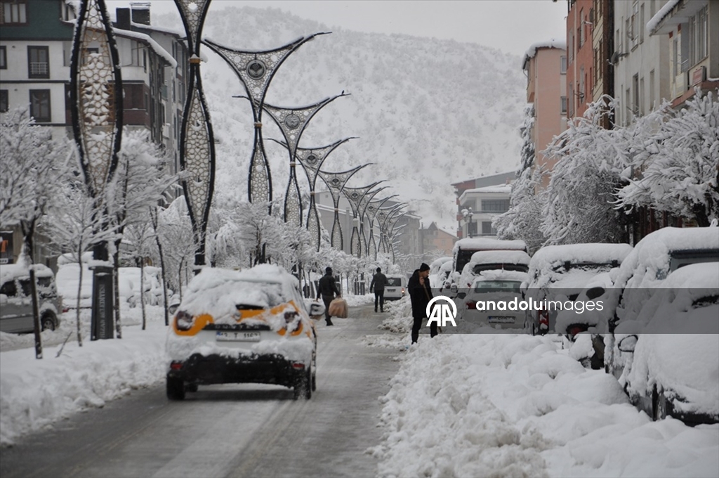 Bazı illerde kar etkili oldu
