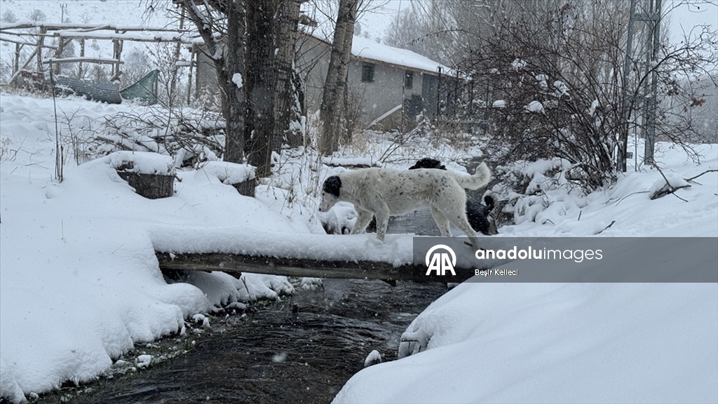 Bazı illerde kar etkili oldu