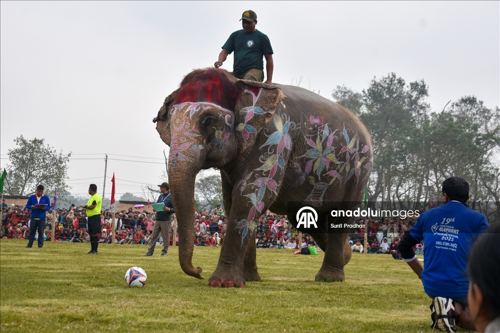 В Непале проводится «Конкурс красоты слонов»