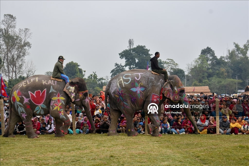 В Непале проводится «Конкурс красоты слонов»