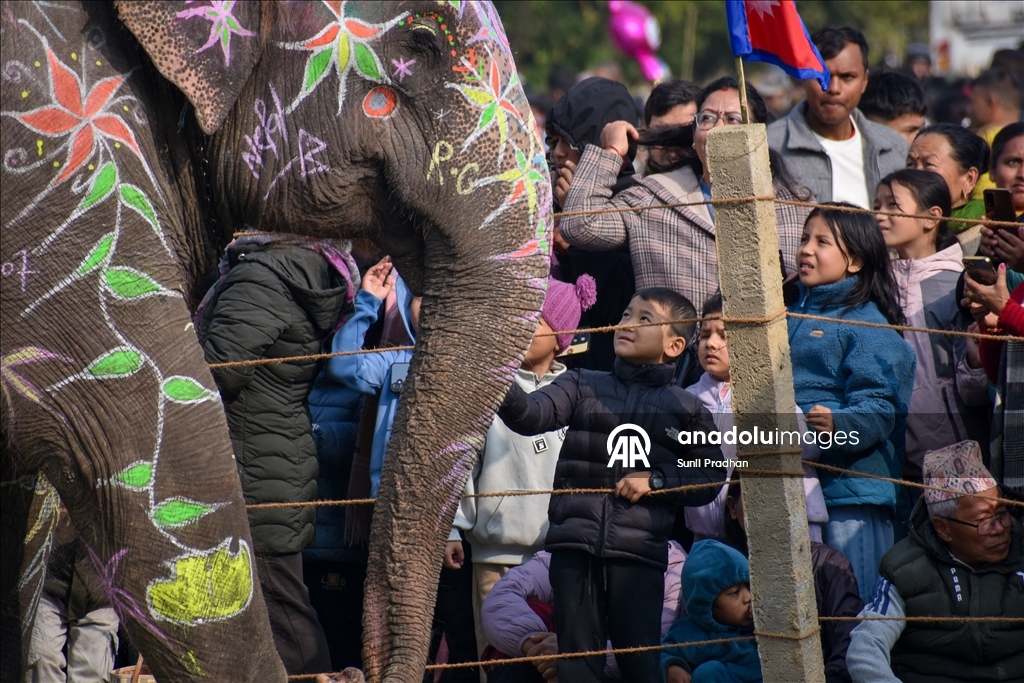 В Непале проводится «Конкурс красоты слонов»