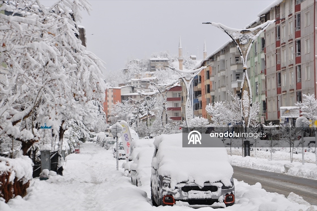 Bazı illerde kar etkili oldu