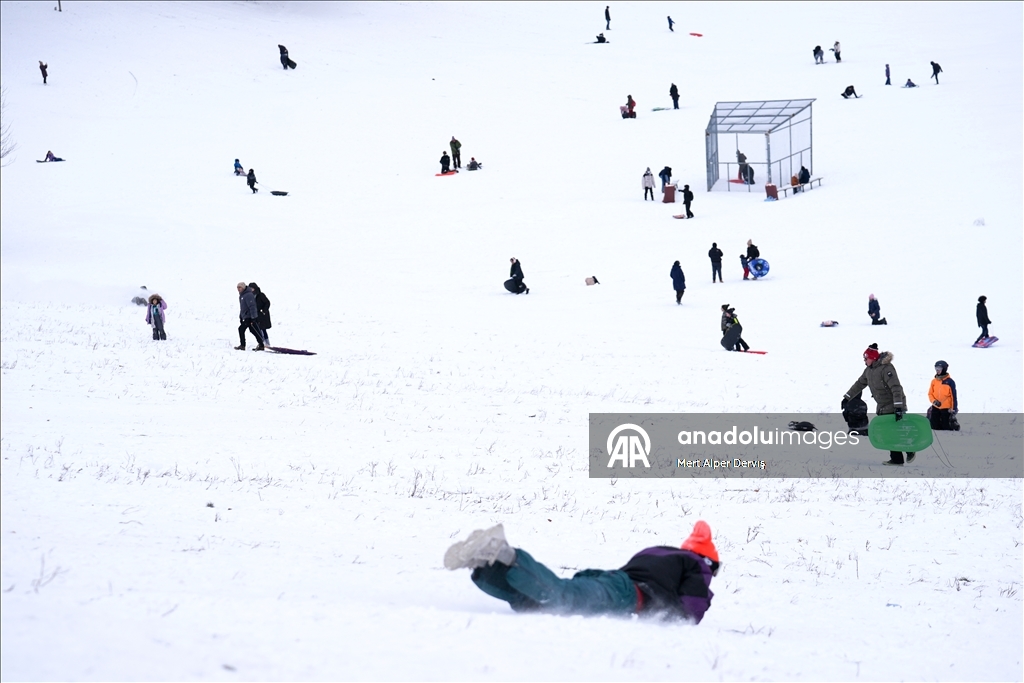 Жители Торонто заполнили городские парки после сильного снегопада