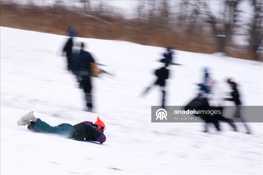 Жители Торонто заполнили городские парки после сильного снегопада