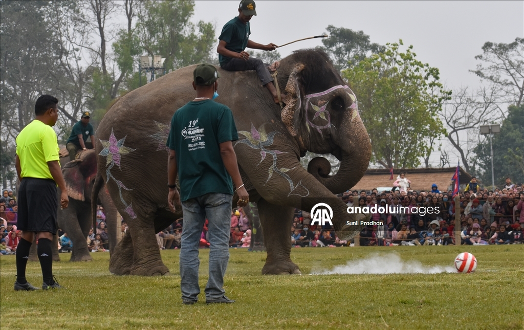 В Непале проводится «Конкурс красоты слонов»