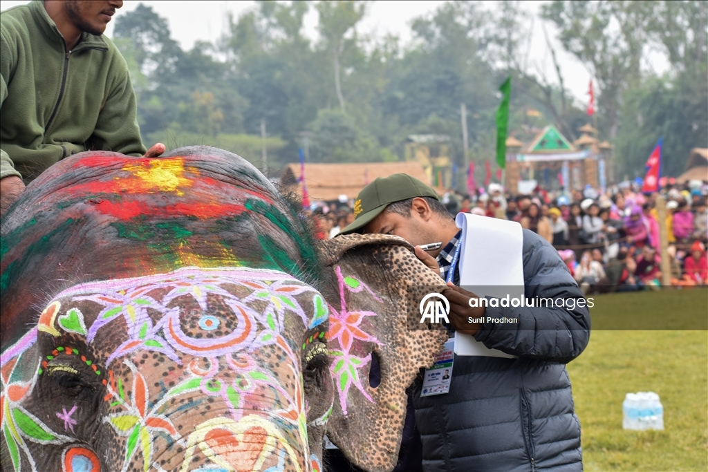 В Непале проводится «Конкурс красоты слонов»