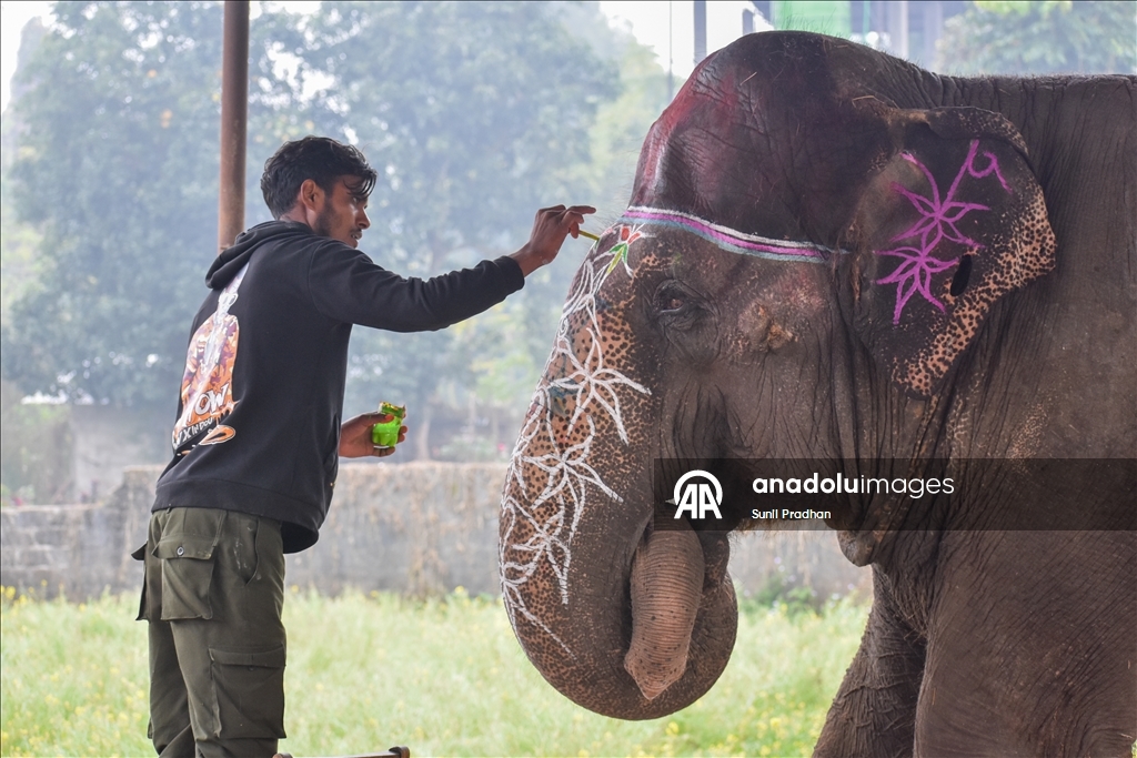 В Непале проводится «Конкурс красоты слонов»