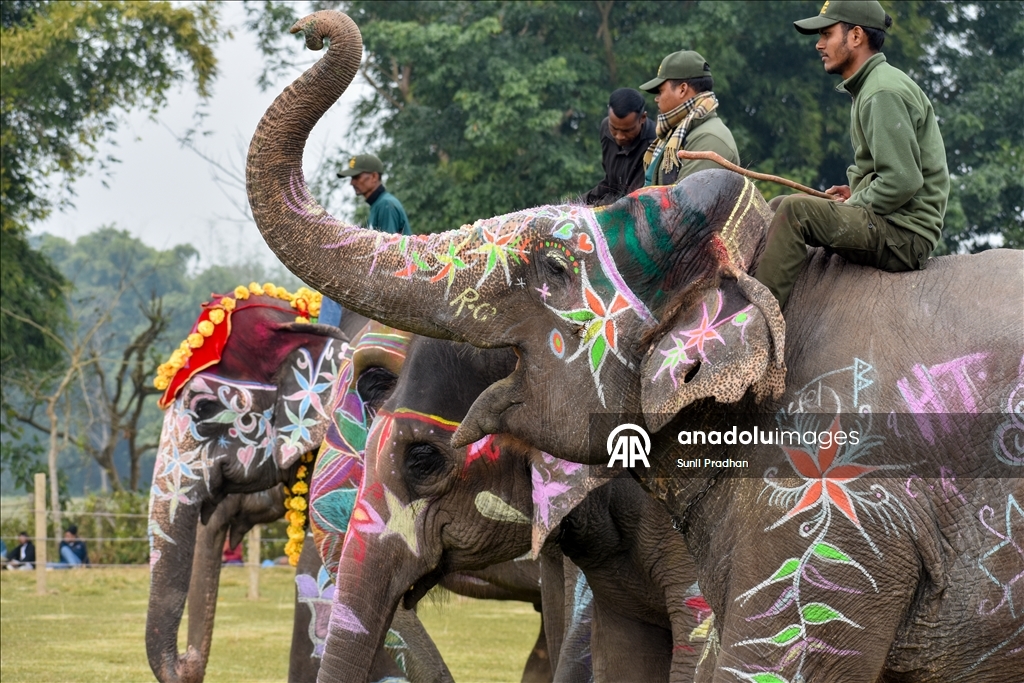 В Непале проводится «Конкурс красоты слонов»