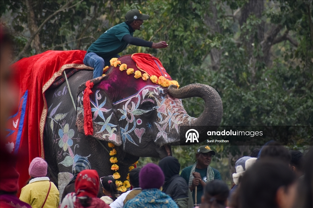 В Непале проводится «Конкурс красоты слонов»