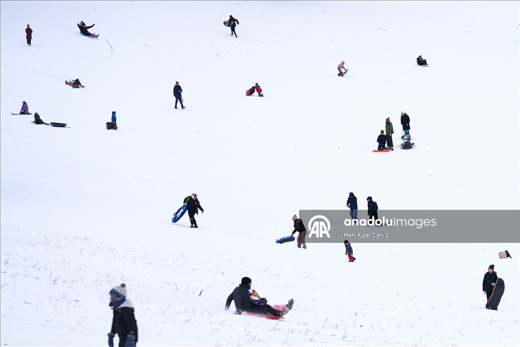 Жители Торонто заполнили городские парки после сильного снегопада