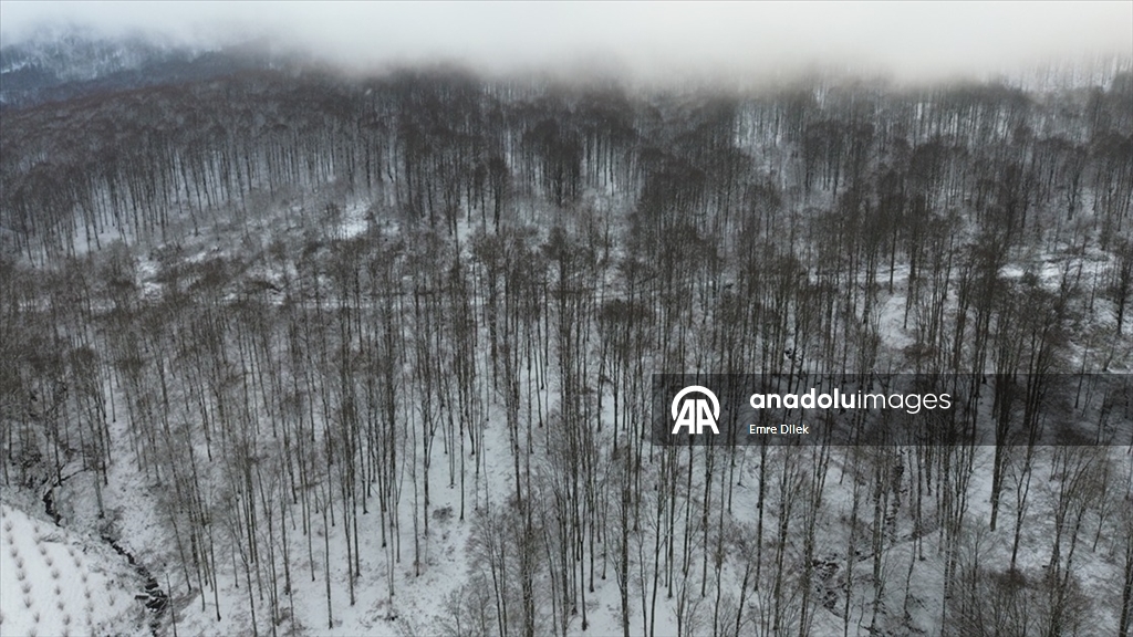 Bazı illerde kar etkili oldu