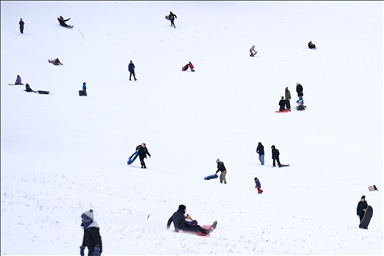 Жители Торонто заполнили городские парки после сильного снегопада