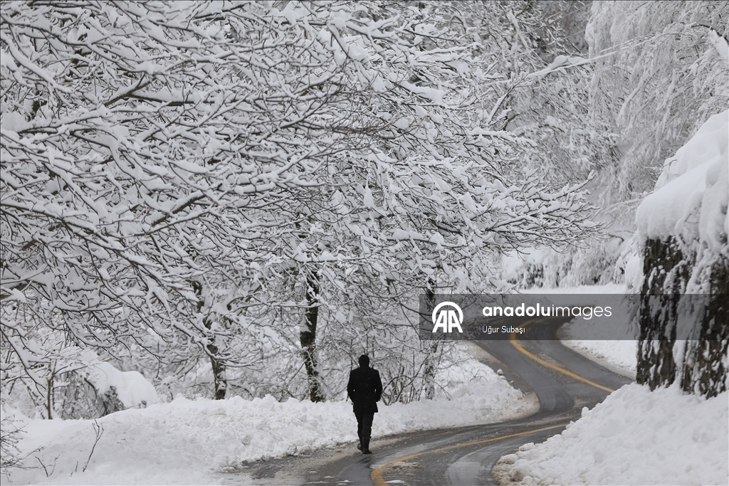 Sakarya'nın yüksek kesimlerinde kar yağışı etkili oluyor