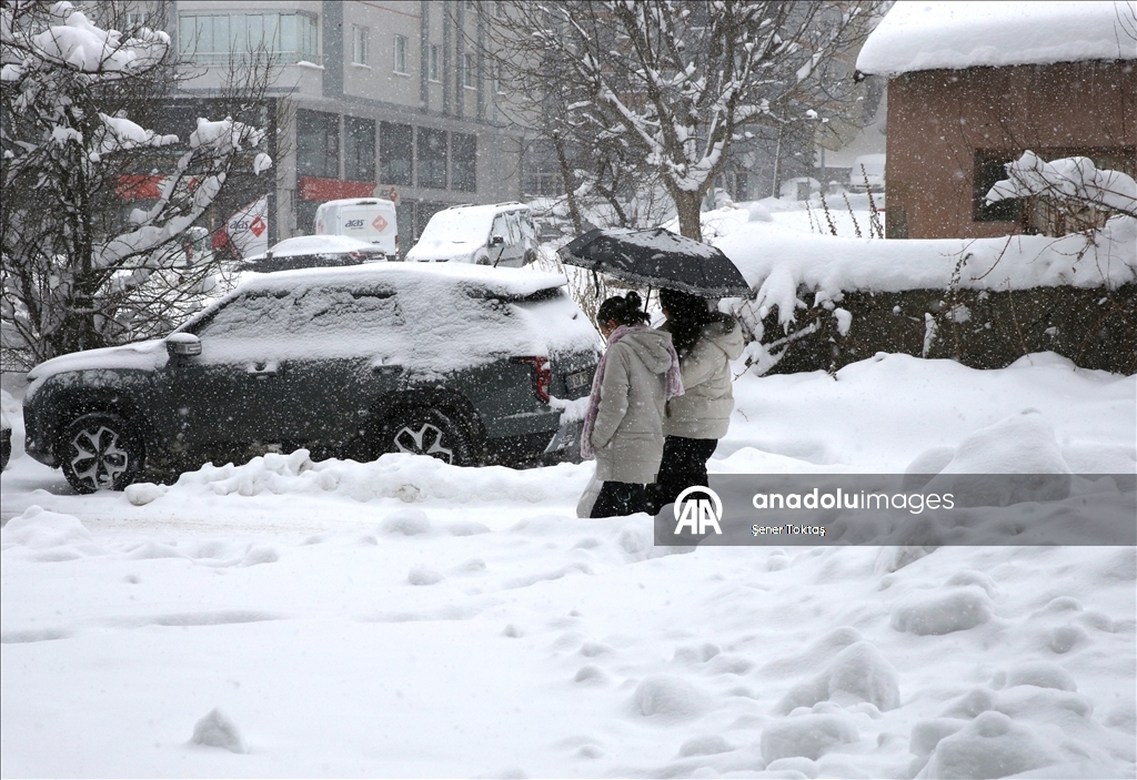 Bitlis'te kar yağışı