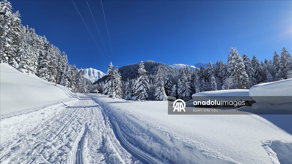 Rize'de kar yağışı