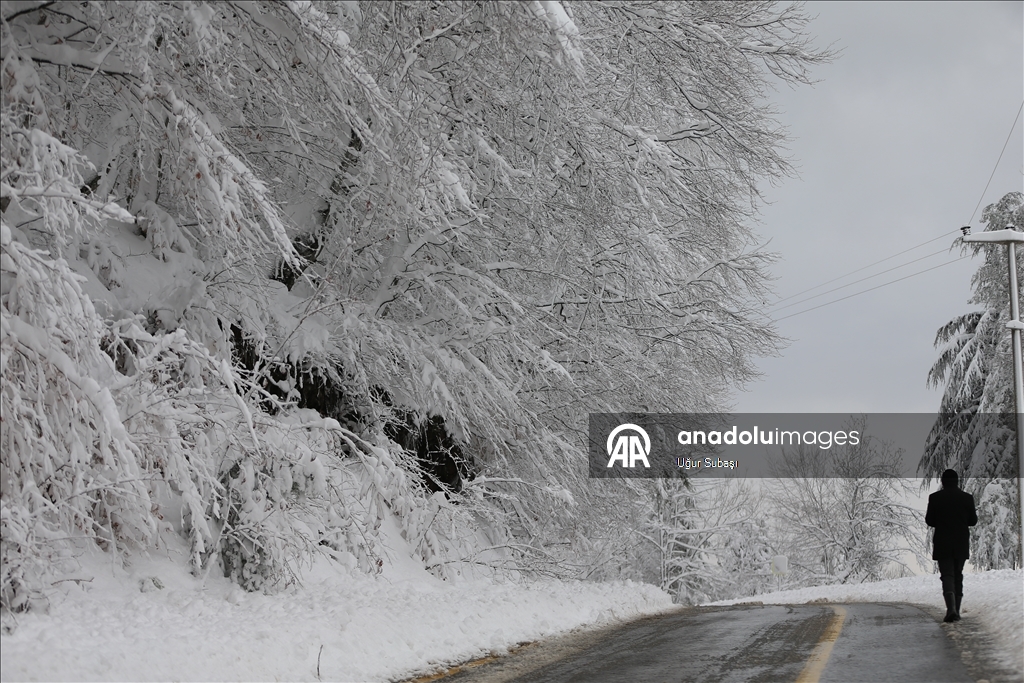 Sakarya'nın yüksek kesimlerinde kar yağışı etkili oluyor