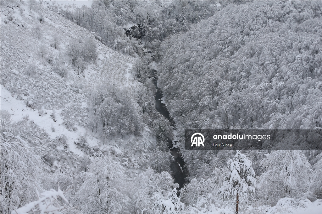 Sakarya'nın yüksek kesimlerinde kar yağışı etkili oluyor