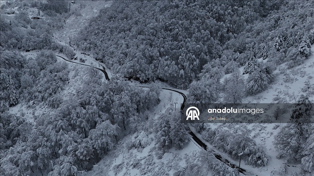 Sakarya'nın yüksek kesimlerinde kar yağışı etkili oluyor