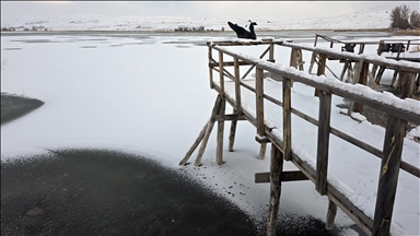 Sivas'ta Hafik Gölü kısmen buz tuttu