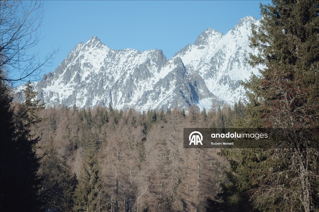 Yüksek Tatra Dağları’ndaki kayak pistleri, uzun süredir beklenen kar yağışının ardından tamamen açıldı