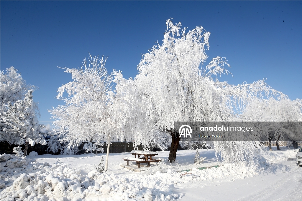 Muş'ta kar ve soğuk hava etkili oldu
