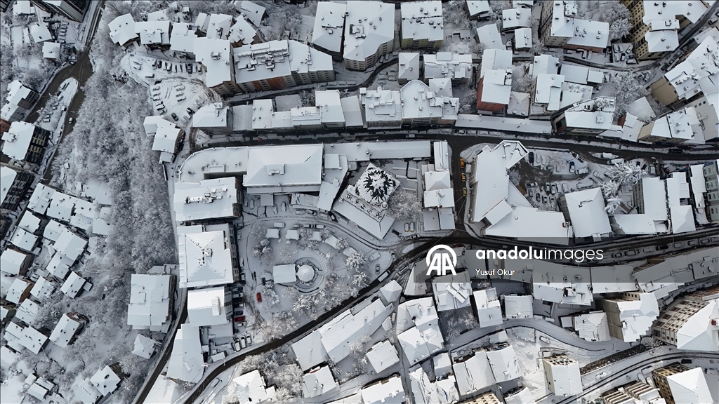 Artvin'de kar ve soğuk hava 