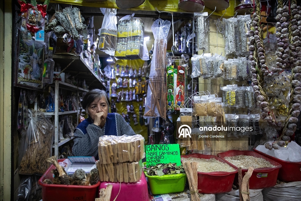 Mexico City’deki Sonora Pazarı’nda yeni yıl hazırlıkları