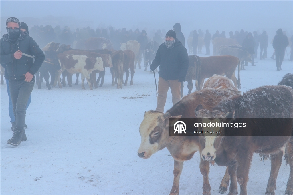 Ağrı'da dondurucu soğuklarda vatandaşların kaş ve saçları kırağı tuttu