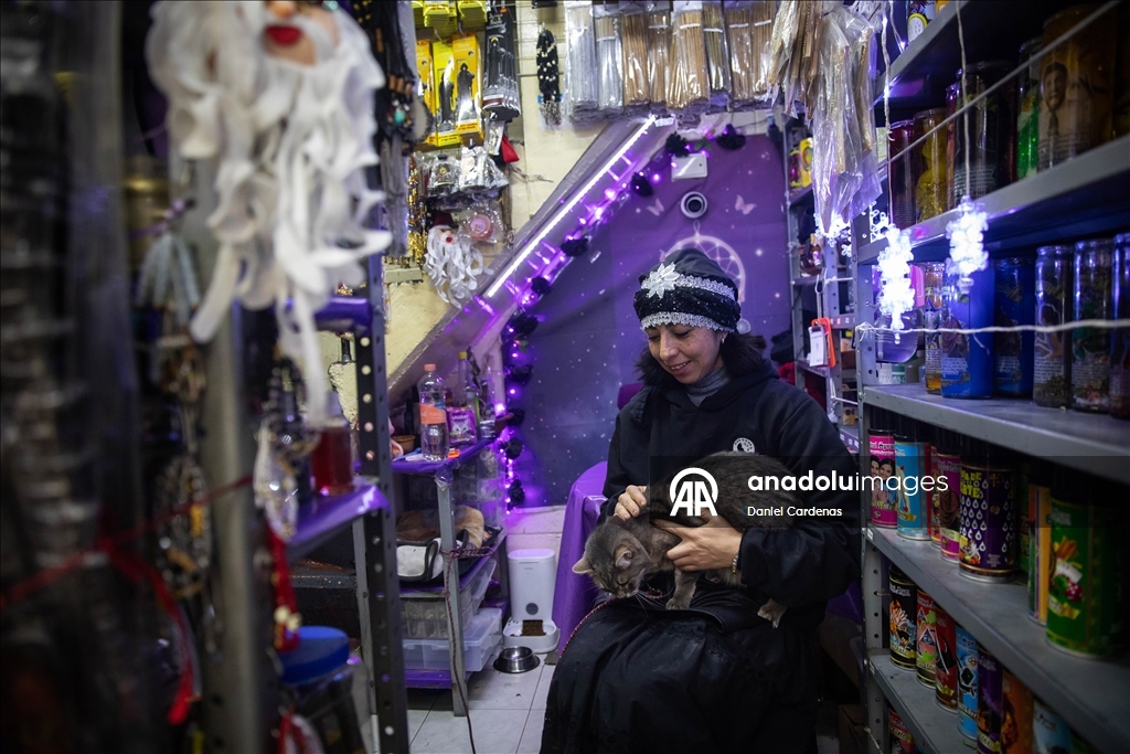 Mexico City’deki Sonora Pazarı’nda yeni yıl hazırlıkları