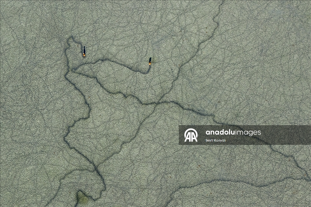 Göç yolundaki angıt kuşları, Konya’daki Düden Gölü’nde mola veriyor