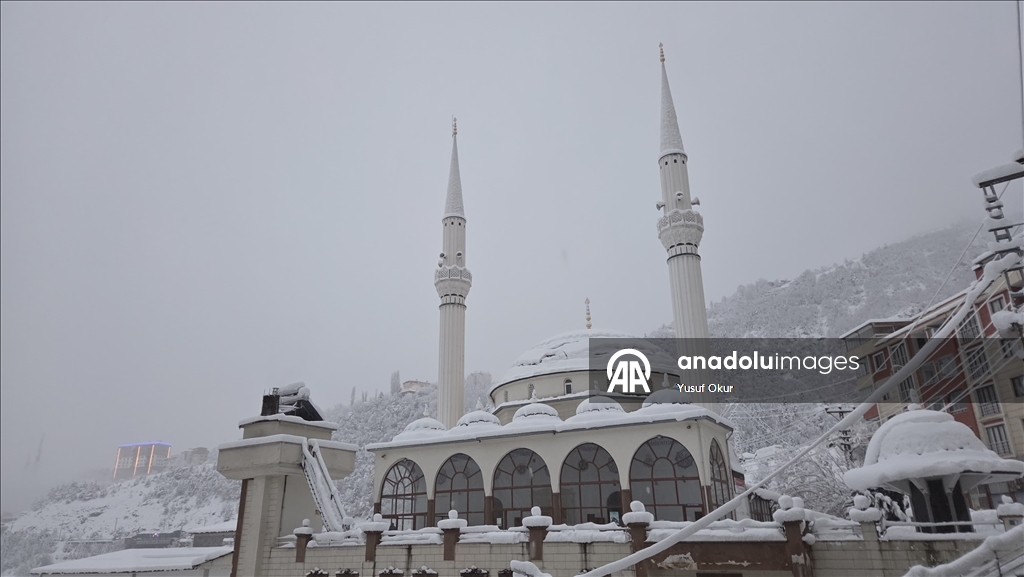 Artvin'de kar ve soğuk hava 