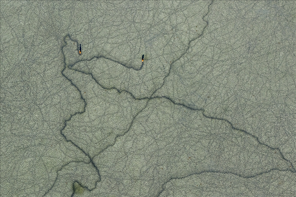 Огари делают остановку на озере Дюден в Конье