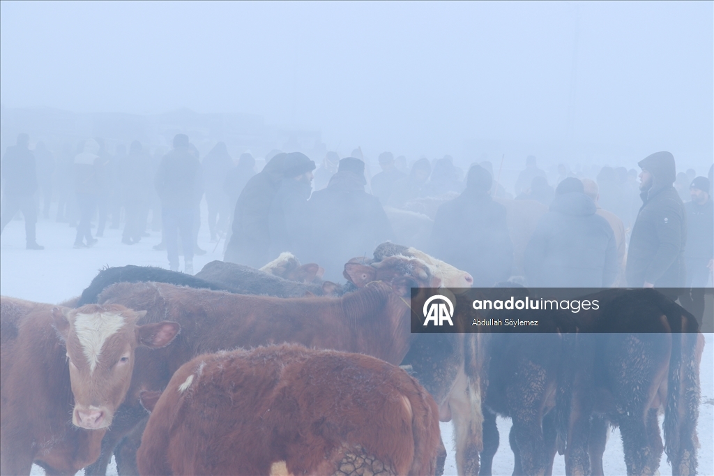 Ağrı'da dondurucu soğuklarda vatandaşların kaş ve saçları kırağı tuttu