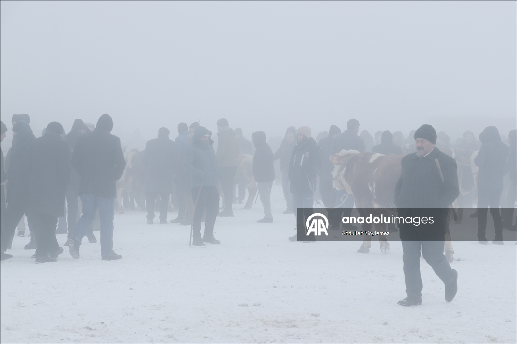 Ağrı'da dondurucu soğuklarda vatandaşların kaş ve saçları kırağı tuttu