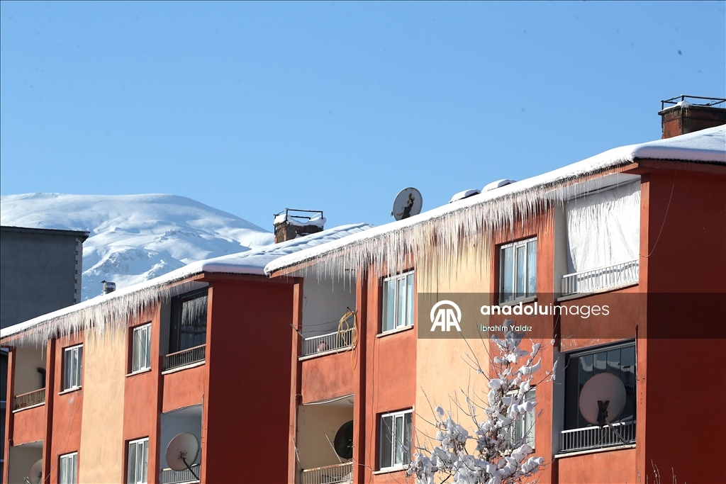 Muş'ta kar ve soğuk hava etkili oldu