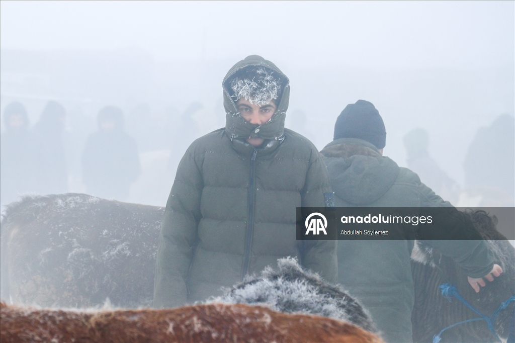 Ağrı'da dondurucu soğuklarda vatandaşların kaş ve saçları kırağı tuttu