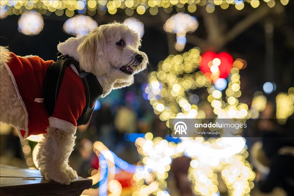 Başkentte yılbaşı hazırlıkları