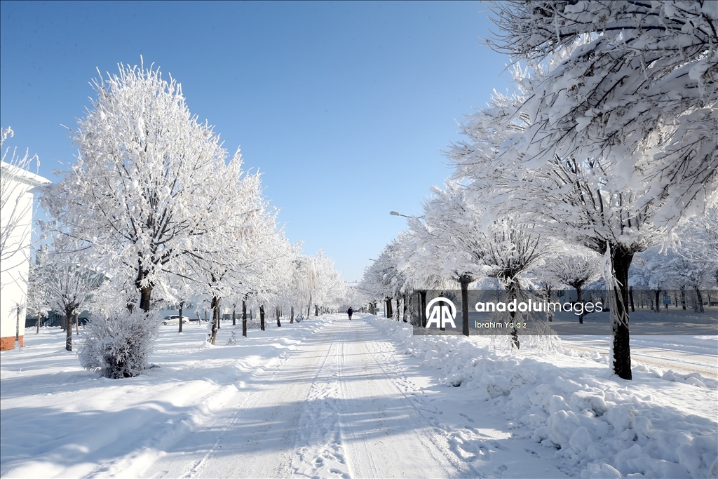 Muş'ta kar ve soğuk hava etkili oldu
